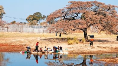 Photo of Das Okavango-Delta am Scheideweg